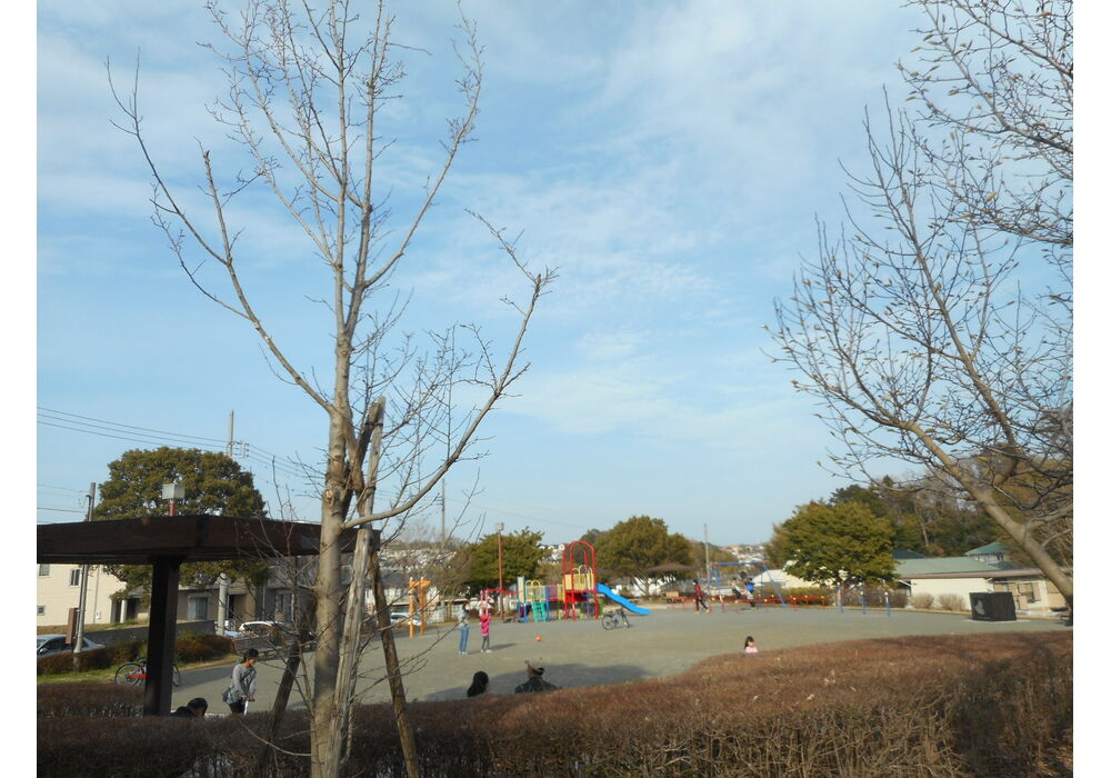 a5ea678ddce20433642401603163bd80