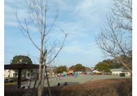 a5ea678ddce20433642401603163bd80